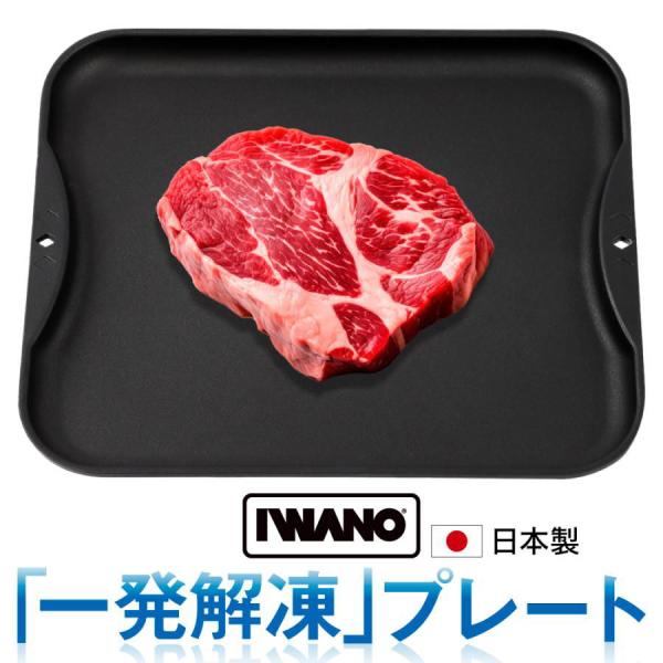 他サイト： IWANO(イワノ) 一発解凍プレート(解凍皿)(ブラック) IWANO AWKSD(IWANO) 返品種別Aの商品画像