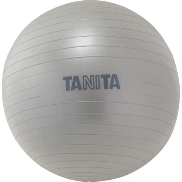 他サイト： タニタ ジムボール 65cm(シルバー) TANITA バランスボール TS-962 返品種別Aの商品画像