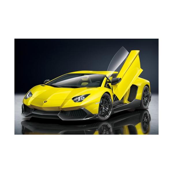 ザ・モデルカー アオシマ (再生産)1/ 24 ザ・スーパーカー No.10 '13