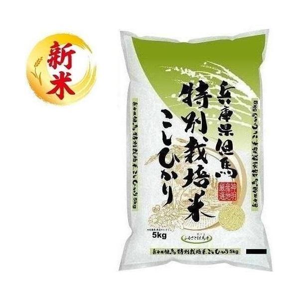 特別栽培米 兵庫県但馬産コシヒカリ 5kg 神明 返品種別B : Joshin web