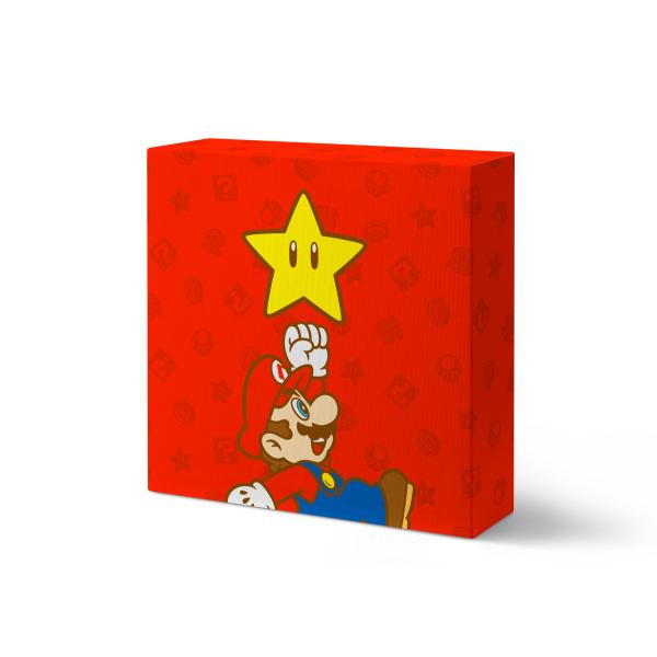 任天堂（Nintendo） スーパーマリオ 光るキャンバスアート×ギフト