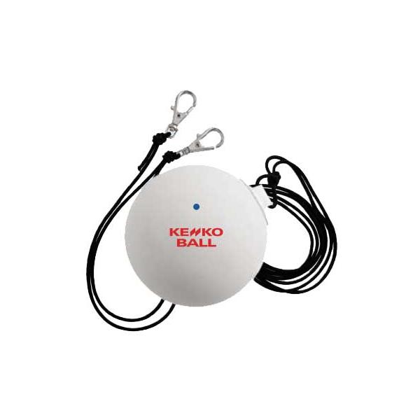 他サイト： ケンコー(KENKO) ケンコーWボレー(ソフトテニスボール練習用品)  返品種別Aの商品画像