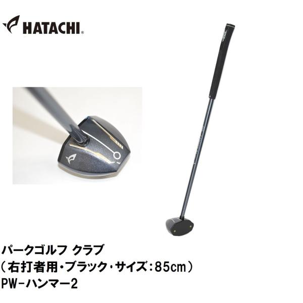 在庫状況：お取り寄せ/お届け：約2週間/※画像はイメージです。◆初級者の方にも使いやすい、ヘッド形状。◆初めてのマイクラブに最適。◆スタンダードモデル。/[HACPH21520985]