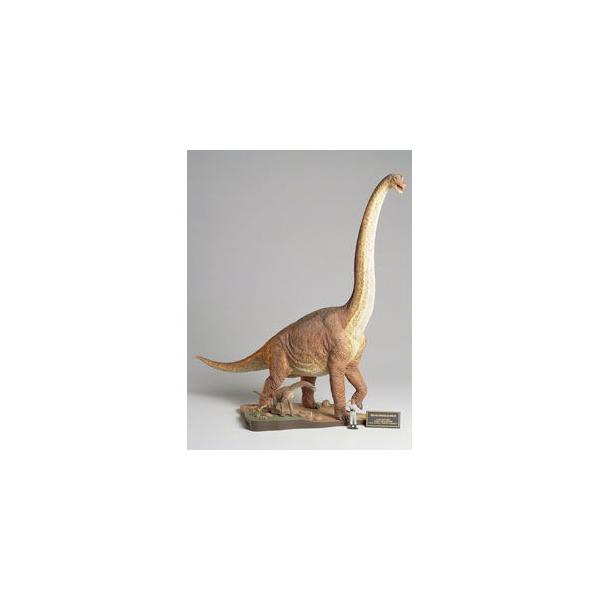 タミヤ 1/ 35 恐竜世界シリーズ ブラキオサウルス情景セット (60106)プラモデル 返品種別B  :4950344601066-52-2522:Joshin web 通販 