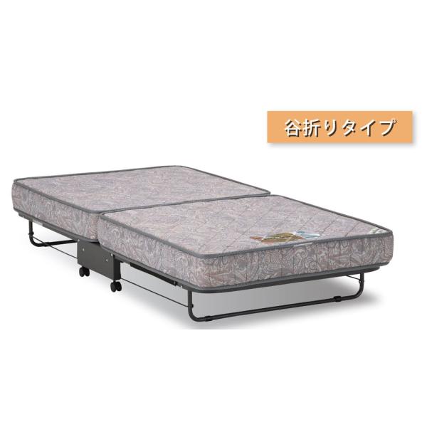 フランスベッド　折りたたみ式 フランスベッド（FRANCEBED） パンテオン401(サイズ(約)：幅97×長さ190