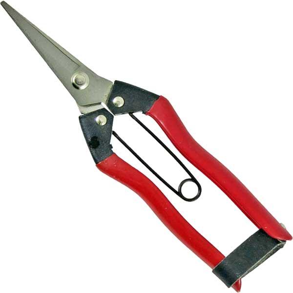 他サイト： 永吉 ステンレス 摘果鋏 185mm 31140 返品種別Bの商品画像