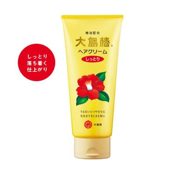 大島椿 ヘアクリーム しっとり 160G (ヘアトリートメント・パック) 価格比較 - 価格.Com