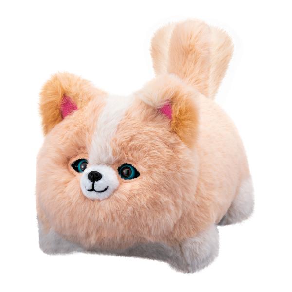 他サイト： アガツマ ワンだきみは! ? 返品種別Bの商品画像