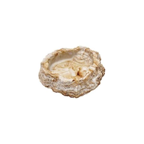 在庫状況：お取り寄せ/お届け：約2週間/※商品画像とデザイン・カラーが異なる場合がございます。予めご了承下さい。◆ずっしりとした安定感、天然石の風合いをもつ爬虫類・両生類用のエサ＆水いれです■材質：レジン■本体サイズ：幅108×高さ25×奥...