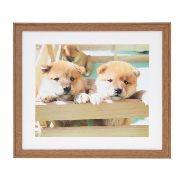 在庫状況：お取り寄せ/2019年06月 発売/◆落ち着いた雰囲気の木製フレーム◆前面板に透明PETを用いた軽量タイプ◆サイズ：4切/[モクセイFYM94BR]