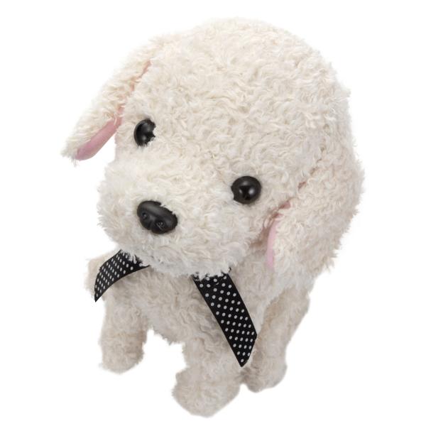 他サイト： セガフェイブ ココさかだちして(クリーム) 返品種別Bの商品画像