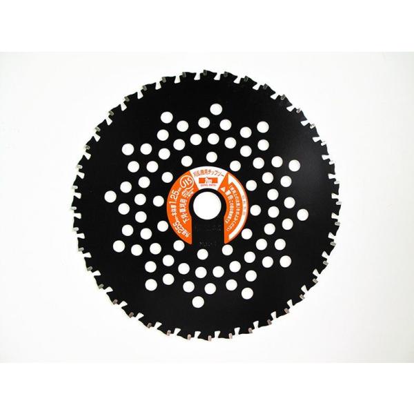 他サイト： YAMAZEN とにかく石に強いチップソー 255mm 山善 トニカクイシニツヨイ255X40P 返品種別Bの商品画像