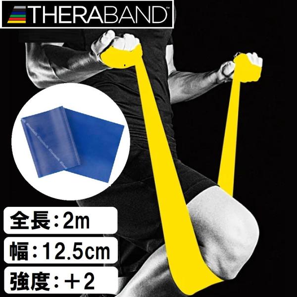 他サイト： D＆M セラバンド ブリスターパック(ブルー) THERABAND 強度：エクストラヘビー レベル：+2 TBB-4 返品種別Aの商品画像