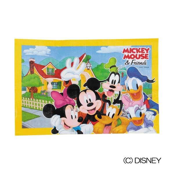 景品 粗品 Disney 公園 アウトドア ミニー キャンプ ミッキー 遠足