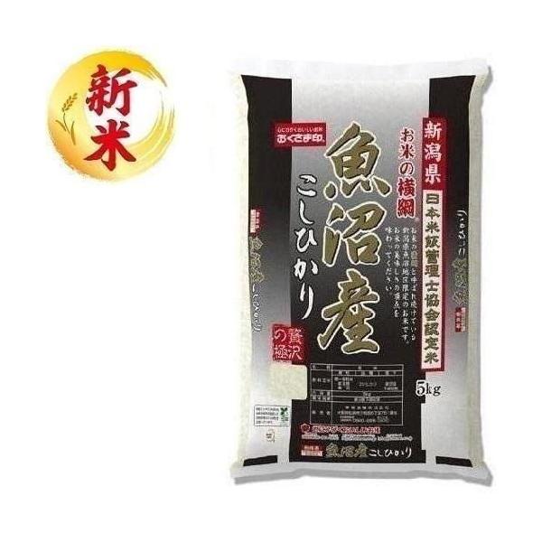 新潟県魚沼産こしひかり 5kg おくさま印(幸南食糧) 返品種別B