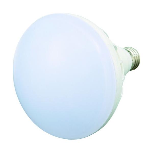 TRUSCO中山 トラスコ中山 LED投光器用 20W LED球 トラスコ中山 RTL-20W