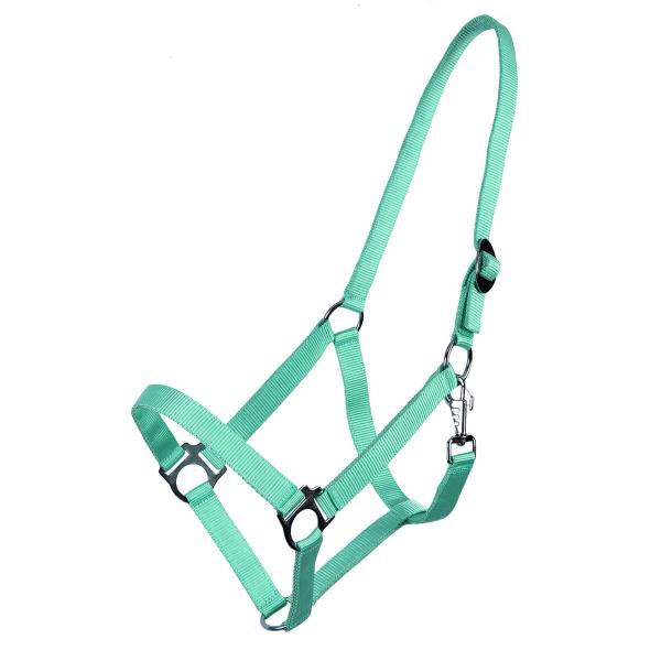乗馬用品 QHP スライド 無口 ターコイズ 乗馬 馬具
