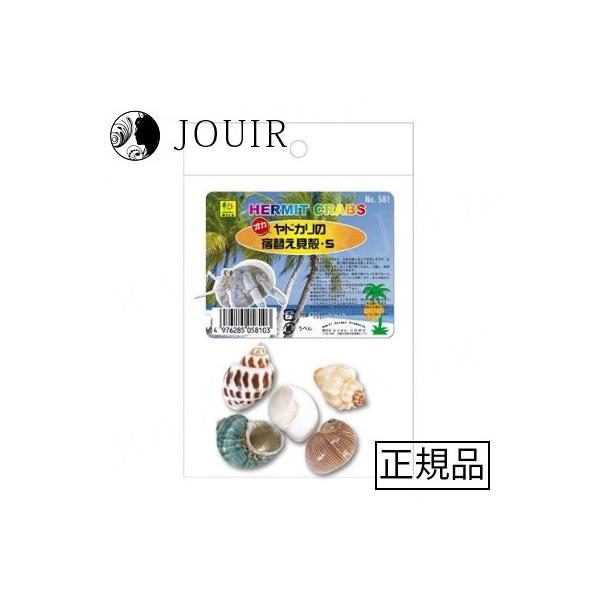 オカヤドカリの引越しに、 宿 替え用貝殻！・天然の造形が美しい巻貝の貝殻です。・種類も様々に用意されていますので、選ぶのも楽しみな宿替え用の貝殻です。・ケースの中のオブジェや、エサ入れとしても利用できます。・オカヤドカリの引越しに、たくさん...