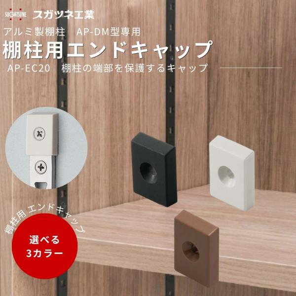 棚柱用 エンドキャップ 可動棚 DIY 壁面収納 スガツネ AP-EC20 全3色