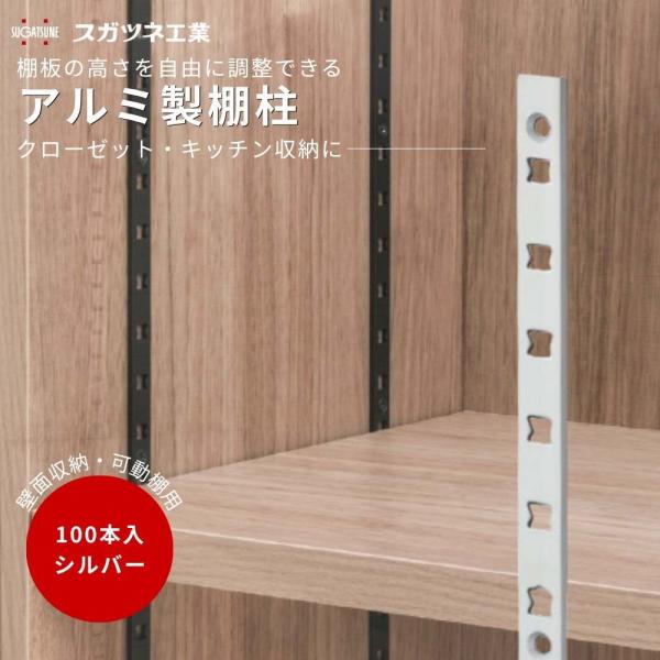 棚柱 可動棚 DIY 壁面収納 スガツネ AP-DM1820 1820mm アルミ製 棚柱