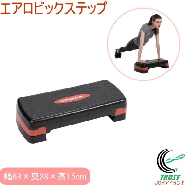 LveX^bO Vit Fit GArbNXebv UR-0859 g g[jO ؃g nr ^ GNTTCY