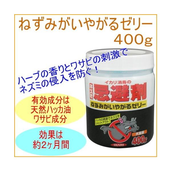 ˂݂₪[[ 400g Q Qb lY~ l    [[ LC ݒu zu u^ qI S S