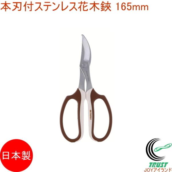 {ntXeXԖ { | K[fjO t[AWg v ͂ nT~  } s XeX