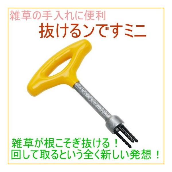 ł ~j 29013 | K[f K[fjO ƒ؉   Ƃ     G 