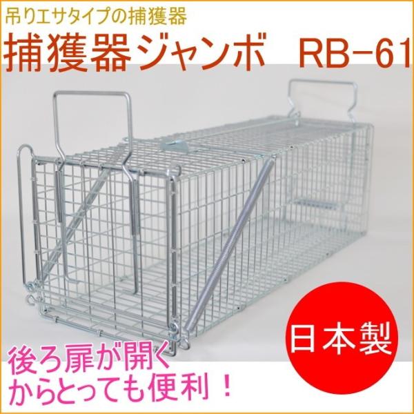 D^Cv No202 ߊlW{ RB61 IT-2 C^` d| 