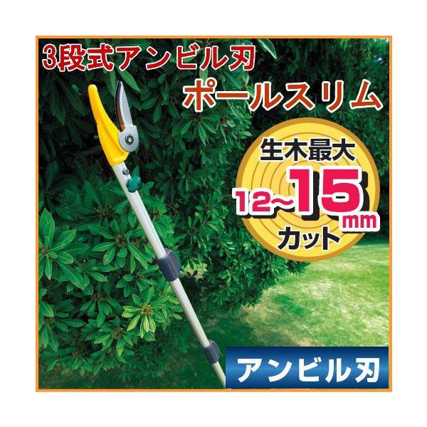 |[X3i Arn mRMt No.336  ͂ }؂΂ n ʎ }؂ }  RpNg