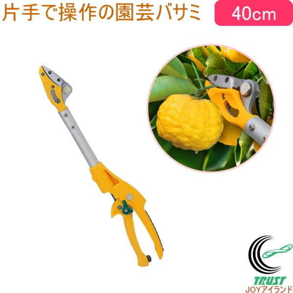 X}[gJbg 40cm No.365 | K[fjO  ͂ nT~ } }؂oT~ }؂΂  y  |oT~