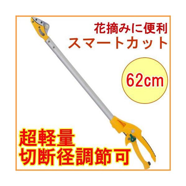 X}[gJbg62cm No.367  ͂ }؂oT~ }؂΂ }  y