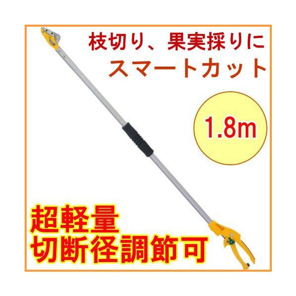 X}[gJbg180cm No.368-1  ͂ }؂oT~ }؂΂ }  y