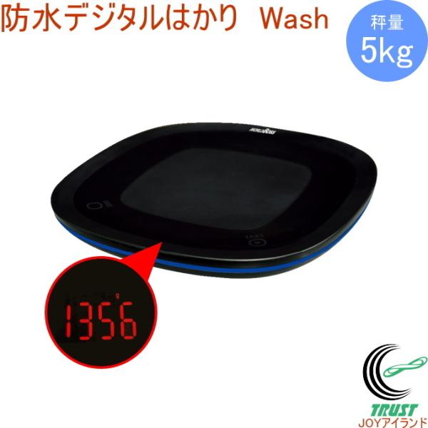 [h{X hfW^͂ EHbV DWP-005 ͂  fW^ h   v