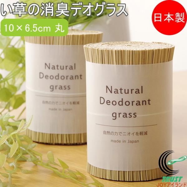 ̏LfIOX  10×6.5cm  { Y  z R L GR  ԓ C gC L VR RpNg