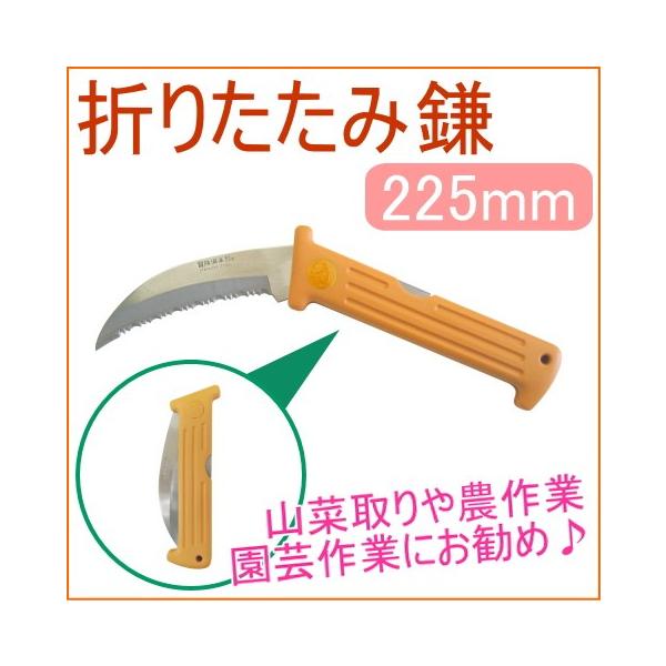 ܂肽݃|Pbg AY-220  ܂肽 XeX | K[fjO ƒ؉ 