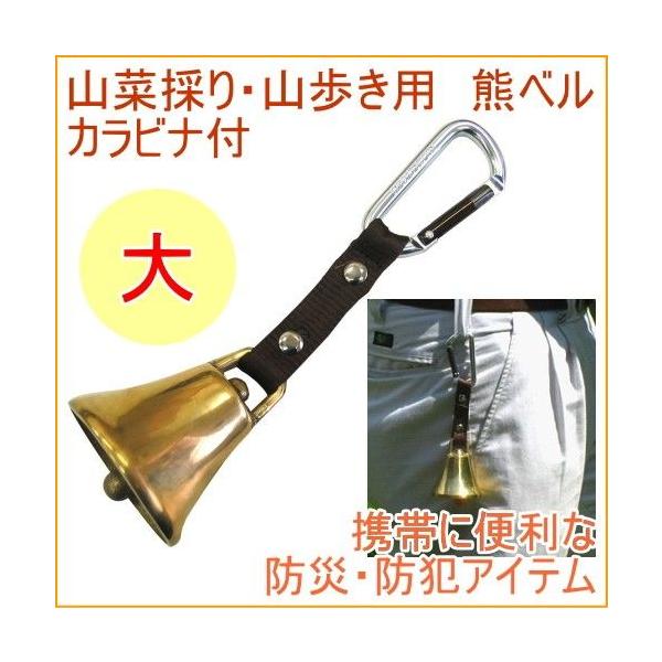 R؍̂ERp Fx  Jrit AY-12 AEghA W[ gbLO oR Ro ނ ނ