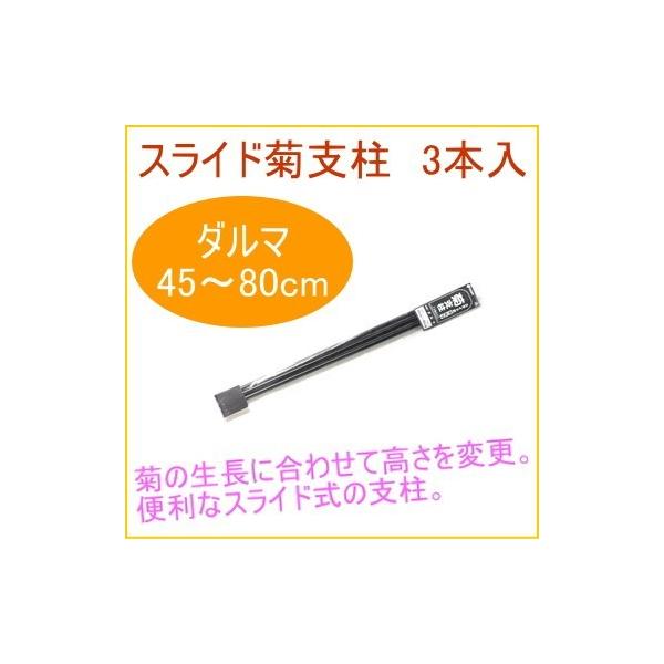 ep XChx _} 3{ ϗtA ƒp x A A v^[ ȒP y ֗