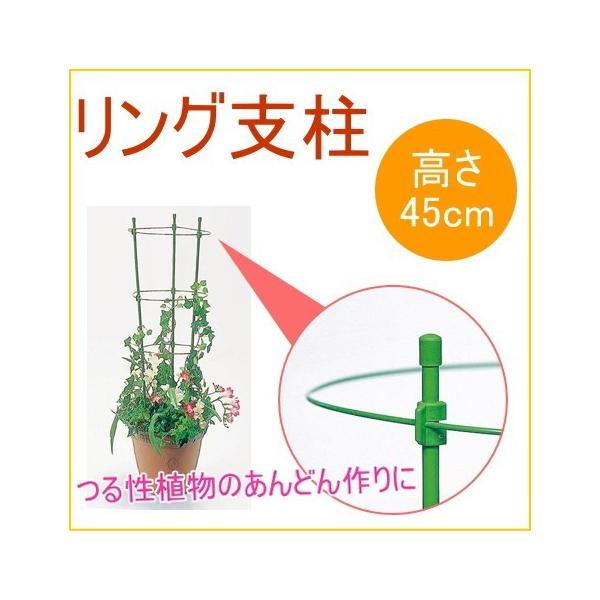 Ox 45cm 1 | K[fjO ƒ؉ ϗtA x y  ͔| ȒP ֗  |