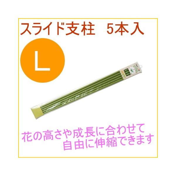 XChx L 5{ ϗtA ƒp ͔| x A A v^[ ȒP y ֗