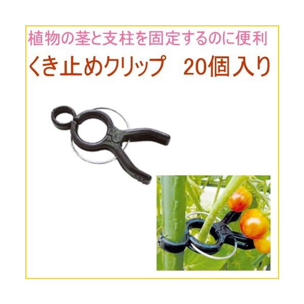 ~߃Nbv 20 ؉   ƒp x ͔|   h~  Œ s