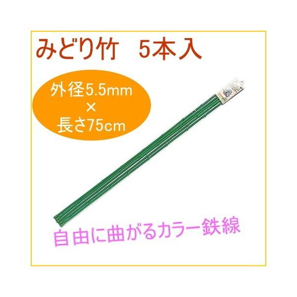 ݂ǂ| 75cm 5{ ϗtA ƒp ͔| x A A v^[ ȒP y ֗