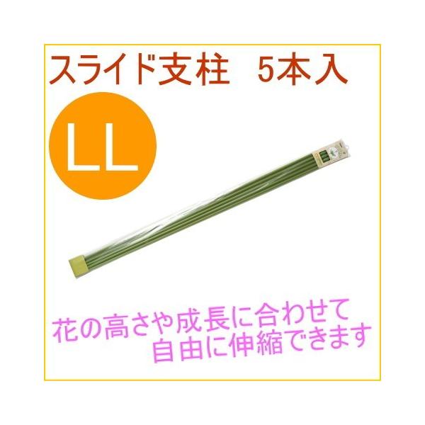 XChx LL 5{ ϗtA ƒp ͔| x A A v^[ ȒP y ֗