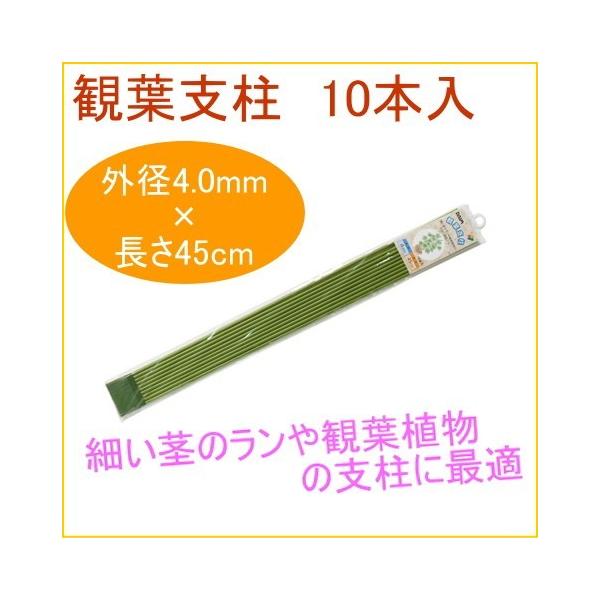 ϗtx 45cm 10{ ϗtA ƒp ͔| x A A v^[ ȒP y ֗