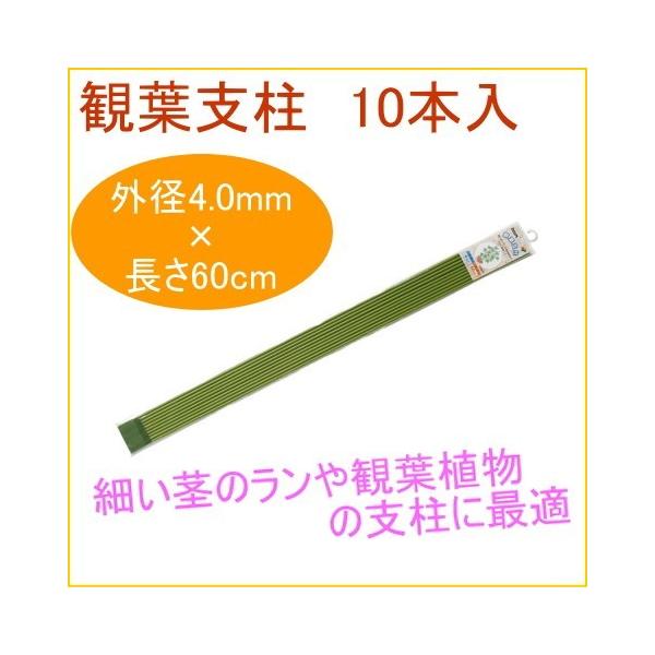 ϗtx 60cm 10{ ϗtA ƒp ͔| x A A v^[ ȒP y ֗