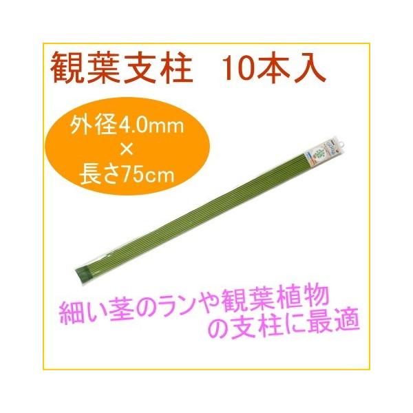 ϗtx 75cm 10{ ϗtA ƒp ͔| x A A v^[ ȒP y ֗