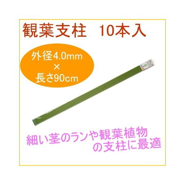 ϗtx 90cm 10{ ϗtA ƒp ͔| x A A v^[ ȒP y ֗