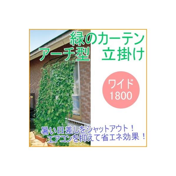 Lk΂̃J[e A[`^ Ch1800 |^Cv | K[fjO ƒ؉  O[J[e