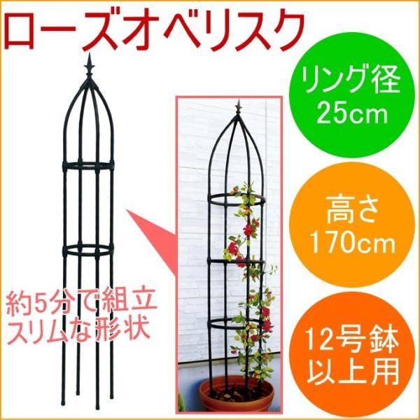 [YIxXN ubN 170cm K[fjO ƒ؉ IxXN x