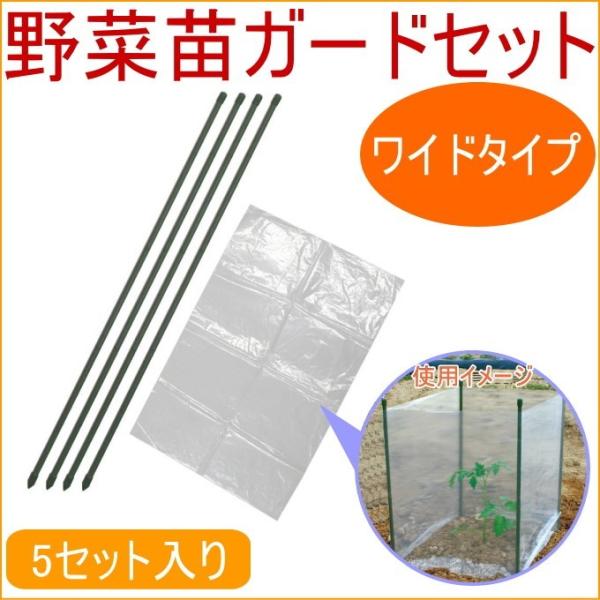 ؕcK[hZbg Ch 5Zbg K[fjO ƒ؉ x c